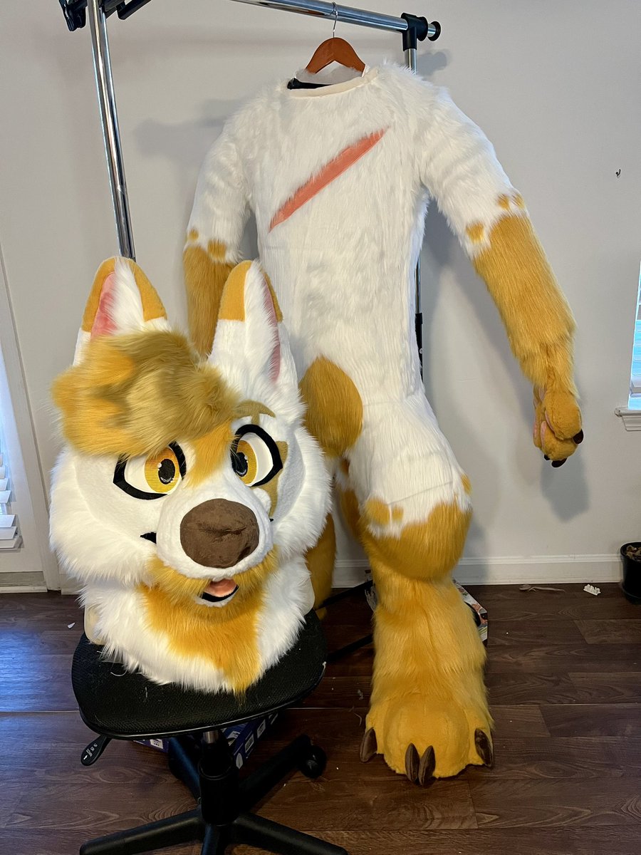GATORSPOTS's tweet photo. ARTEMIS https://t.co/epLHxQONVp