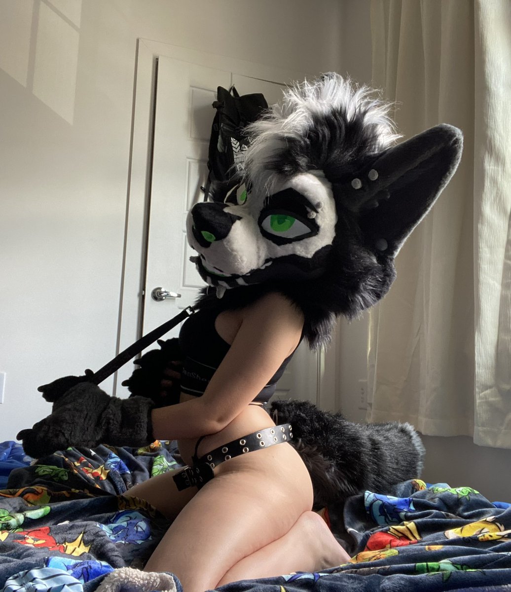 MafiaMutt_AD's tweet photo. Careful~ I bite. https://t.co/fYu6try8uZ