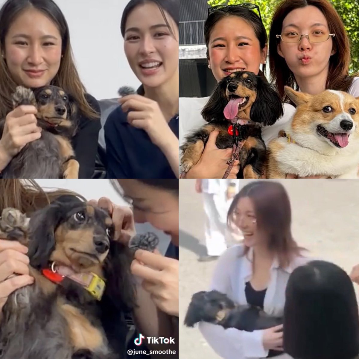 K.Mayazo._.hyemAn🐻‍❄️🐶🐹 tweet media