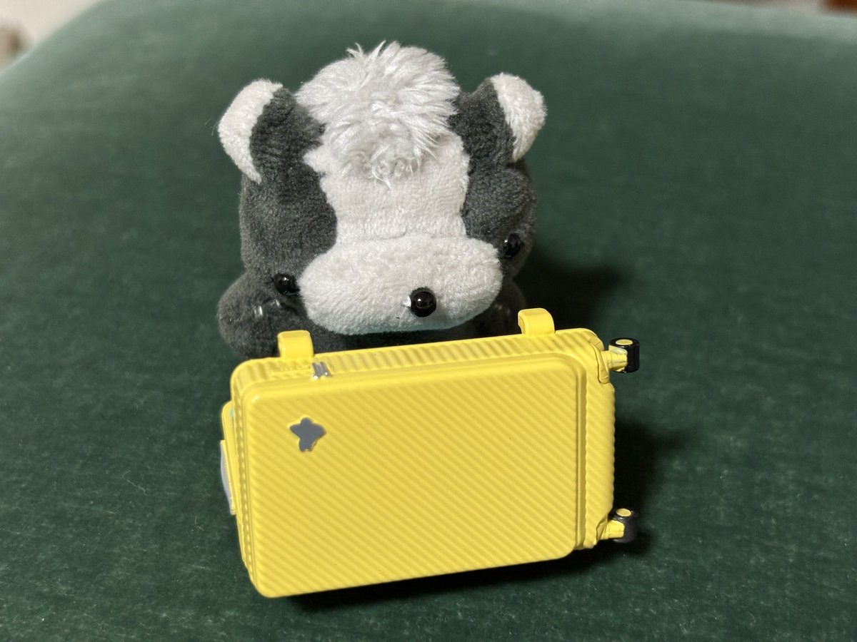 7_k2b's tweet photo. 出張行くから荷物まとめなきゃね…
……ちょと荷物デカかもしれない
#ぬい撮り　#ぽこぷ村 https://t.co/v61OE4TI9X