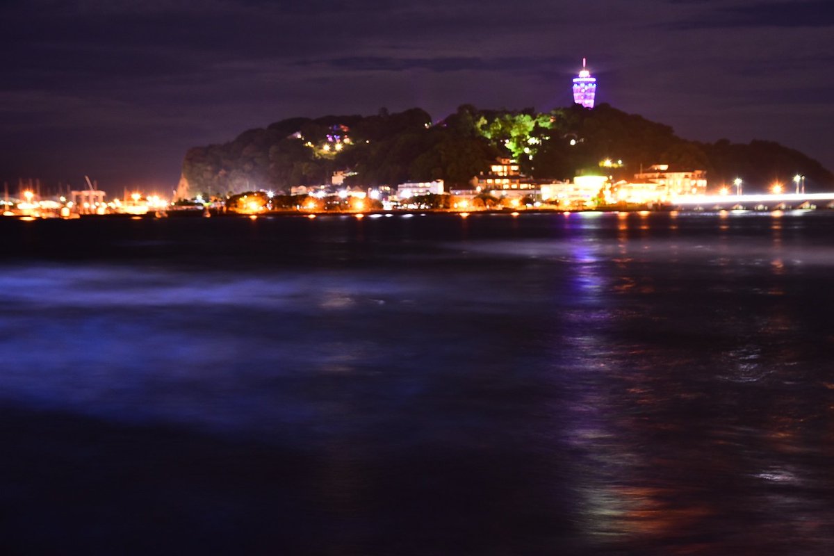 macap44's tweet photo. 今日の江の島〜夜光虫〜片瀬東浜
#夜光虫 #江の島 #湘南 https://t.co/cHgSiJ4XtW