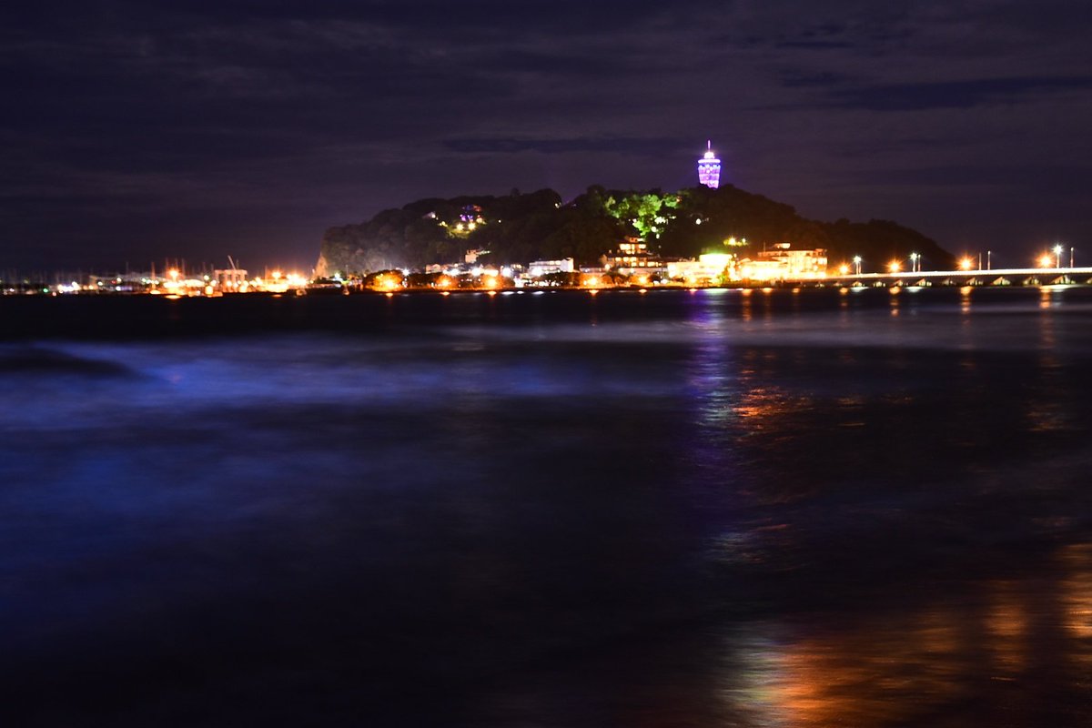macap44's tweet photo. 今日の江の島〜夜光虫〜片瀬東浜
#夜光虫 #江の島 #湘南 https://t.co/cHgSiJ4XtW