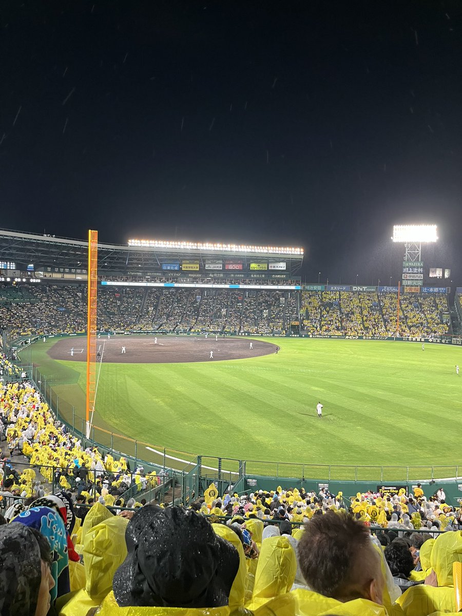 ookintamaaaa's tweet photo. チケット買えなさすぎて年一度ぐらいしか見に行けないタイガース
やっぱライトですね、まけたけど https://t.co/aRtDZl0BkQ