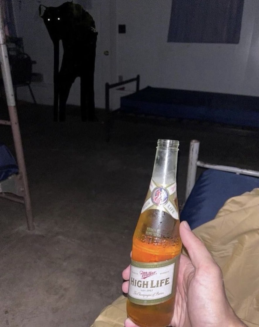 altarseeker's tweet photo. a cold one with the unimaginable horrors https://t.co/upvx788o5c