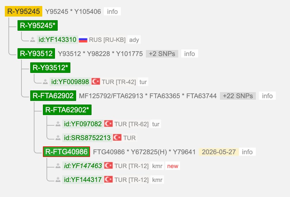 MADAILABS's tweet photo. Y-Full finally split up my subclade. FTA62902 now has 2 daughter lines. FTA62902* and FTG40986 (Y79641). I will test more and more people around my region to look from whom we got FTA62902. Or maybe we can find a clade between Y93512 and FTA62902. Lets see https://t.co/svoIExmJUO