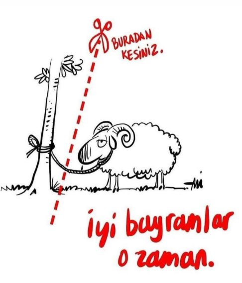 ysmtan's tweet photo. Iyi bayramlar o zaman ❤️ #kurbanbayramınızmübarekolsun #KurbanBayramımızMübarekOlsun #KurbanBayramı2026 #BayramınızMübarekOlsun #BayramınızKutluOlsun #BayramMesajı : Kurban keserken hayvanlara eziyet etmeyin. https://t.co/kEsj8Opjky