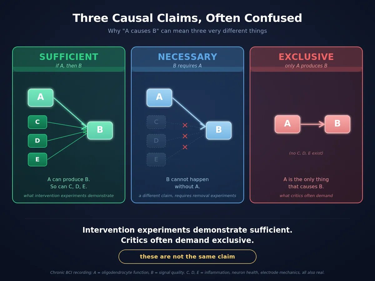 seeingwithsound's tweet photo. 🧠 A logic failure that costs decades. Why BCIs fail: post 12b https://t.co/5Fa9l1Rpia by @BIONIC_Lab; "Inflammation matters. Neuron death matters. Oligodendrocyte function matters." #BCI #NeuroTech https://t.co/YJjAlLgYyq
