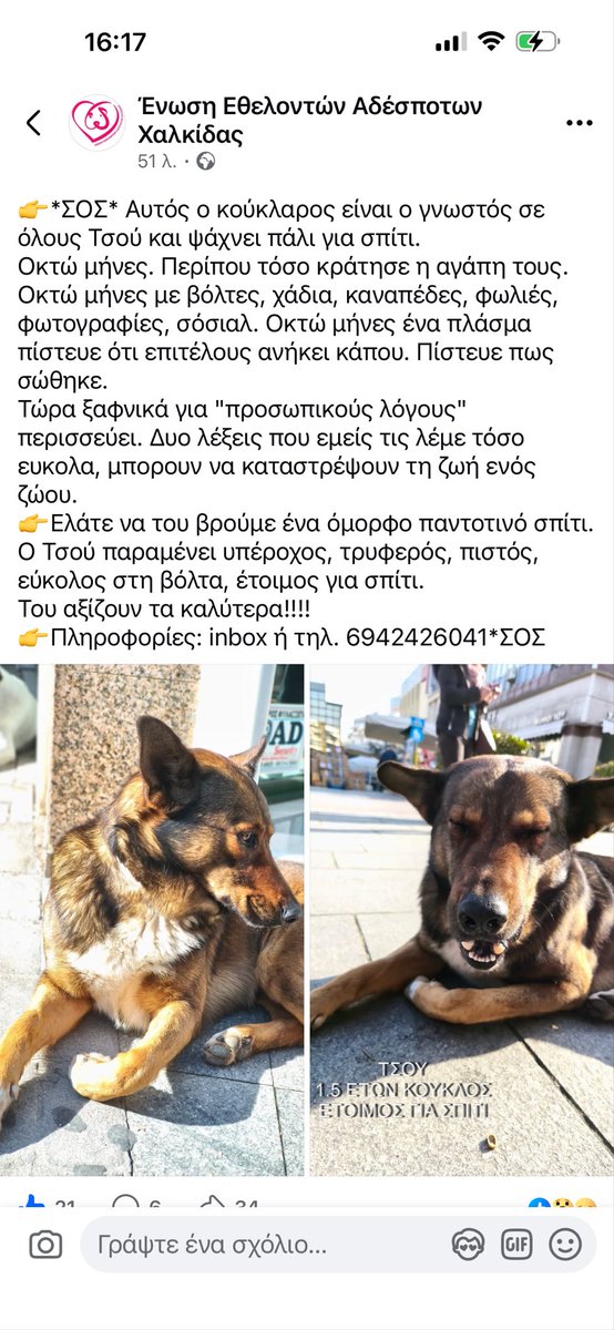 Rika Passa tweet media