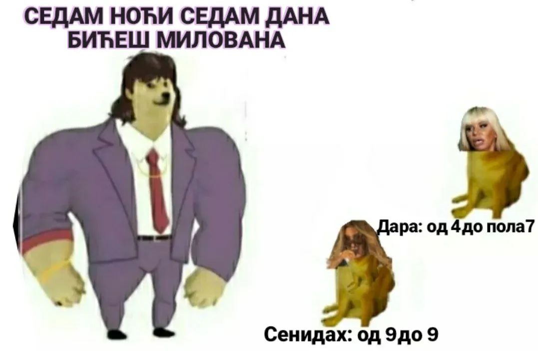Fake Sinjor od Žarkova tweet media