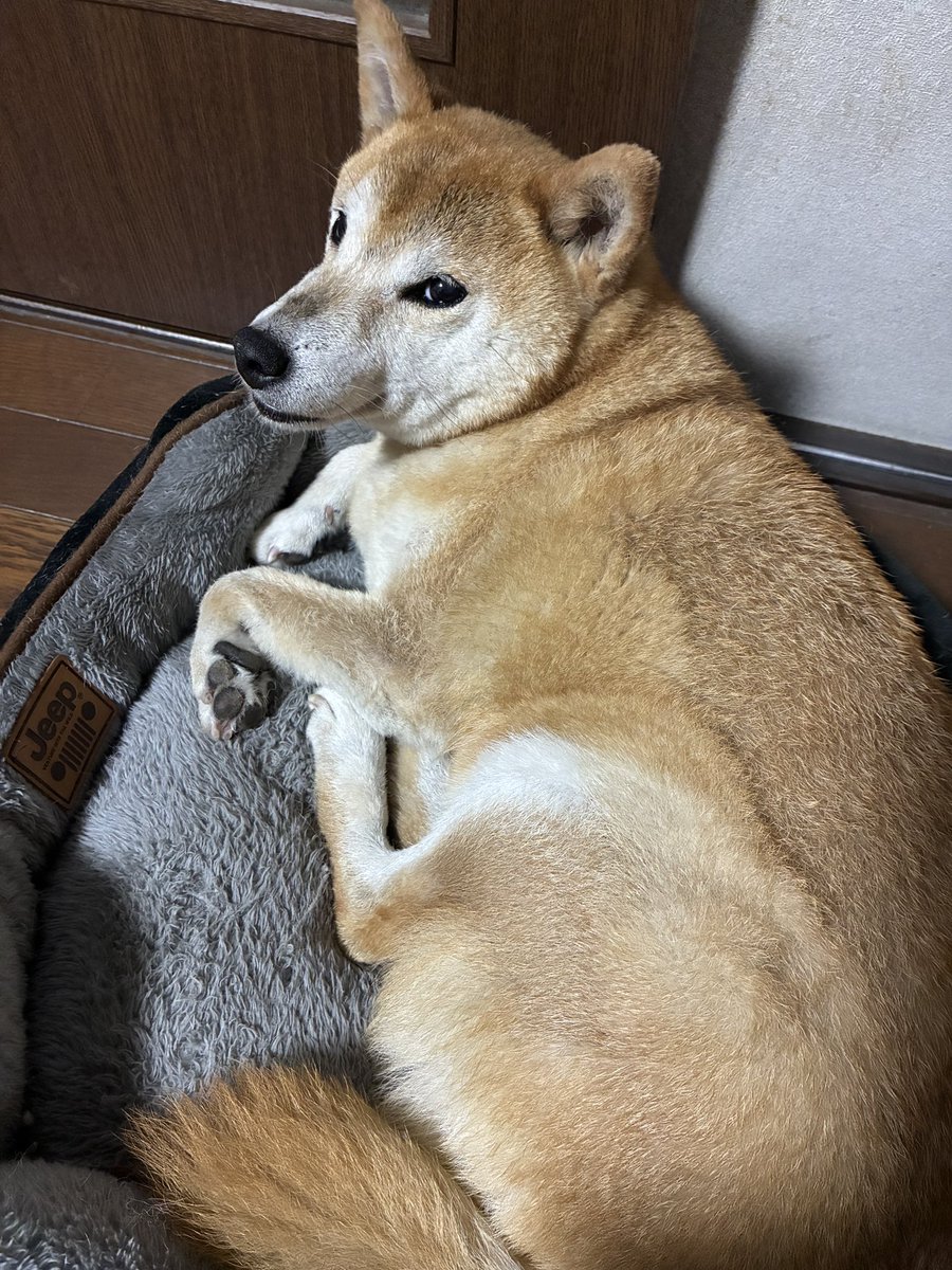 あっちゃん (@acchan5150) / Posts / X