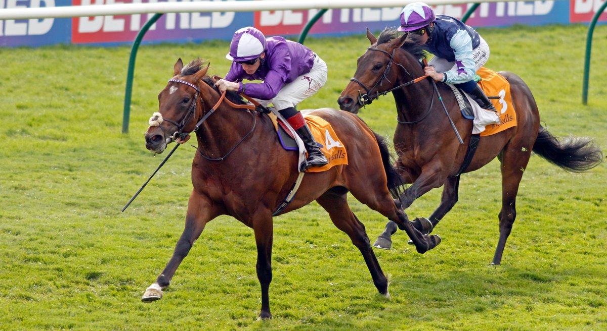 DarleyEurope's tweet photo. 🇮🇪🇬🇧#NavalCrown sired his second winner when his exciting colt Napa made all over 5f @NewmarketRace🙌

Lining up in tomorrow's Listed National Stakes @Sandownpark, he is the only first-crop sire represented in a race won by a freshman in 7 of the last 10 years! 💪 #Statsthatmatter