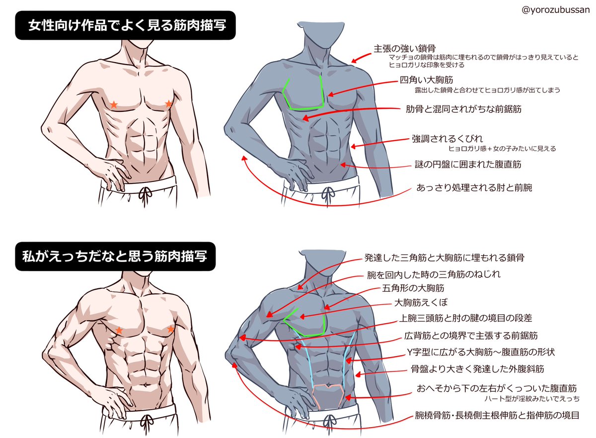 yorozubussan's tweet photo. 男性の筋肉を性的なまなざしで見ている者としては乙女ゲーはじめ女性向け作品は筋肉の量よりも描かれ方がえっちじゃないことが多いので食指が動かないってのがあるかなあ。 https://t.co/PiMosuaWLQ
