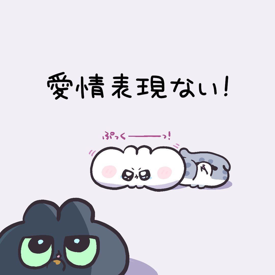 にゃんつぶ tweet media