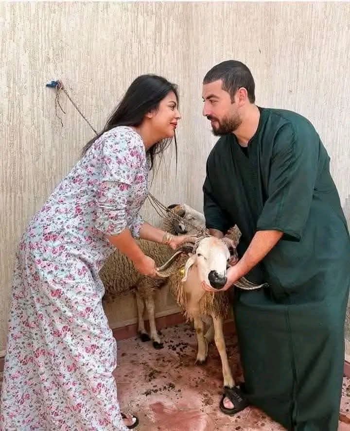🇩🇿جزائرية حرة🇩🇿 tweet media