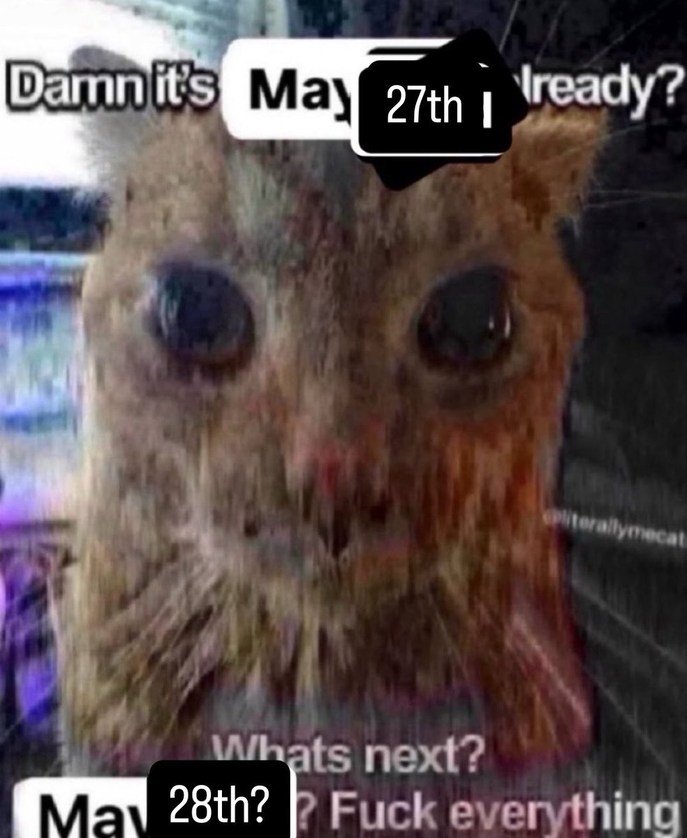LiterallyMeCats tweet media