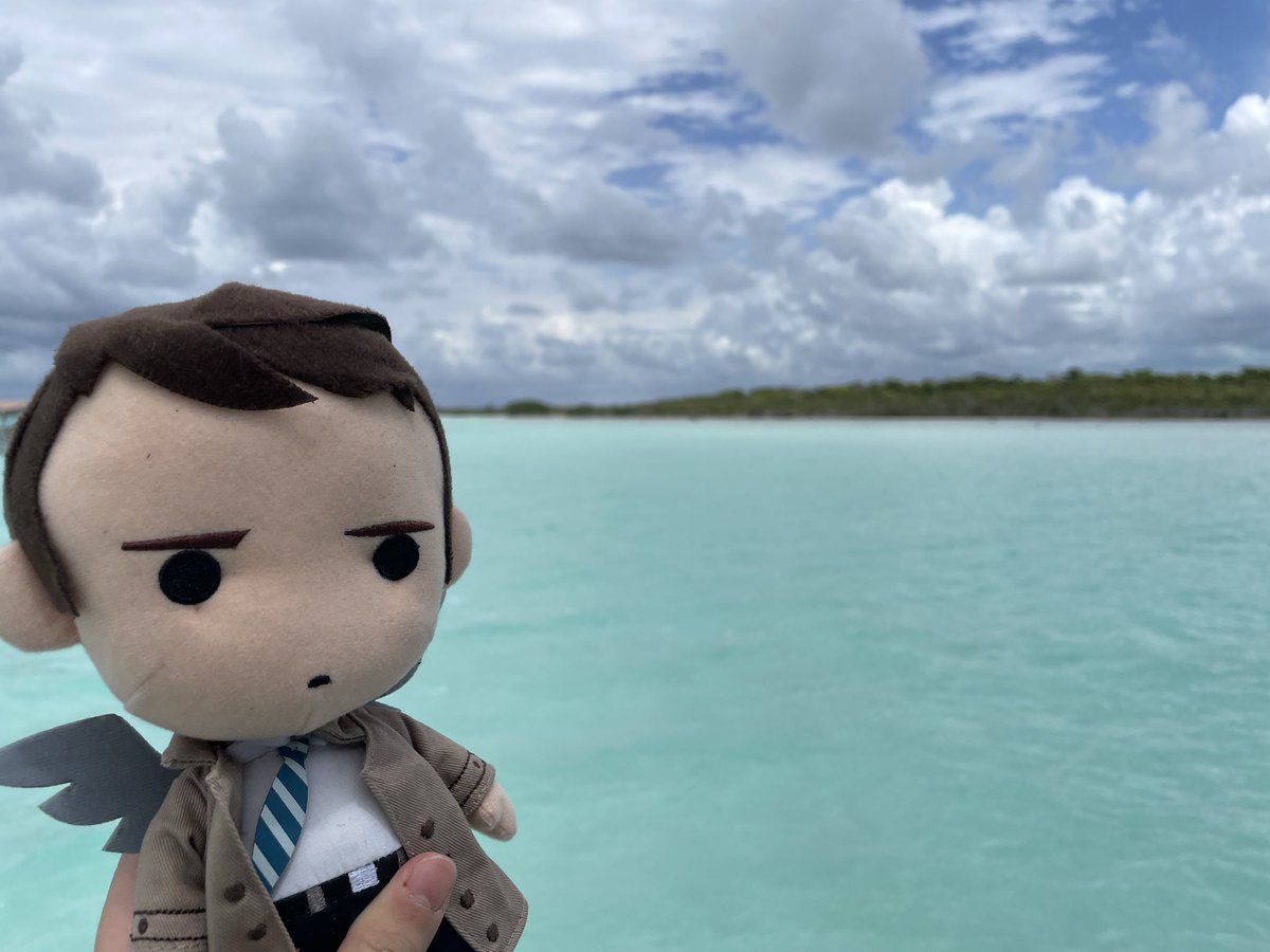 castielnui's tweet photo. castiel nui visits a lagoon https://t.co/aKv9wNVp8a