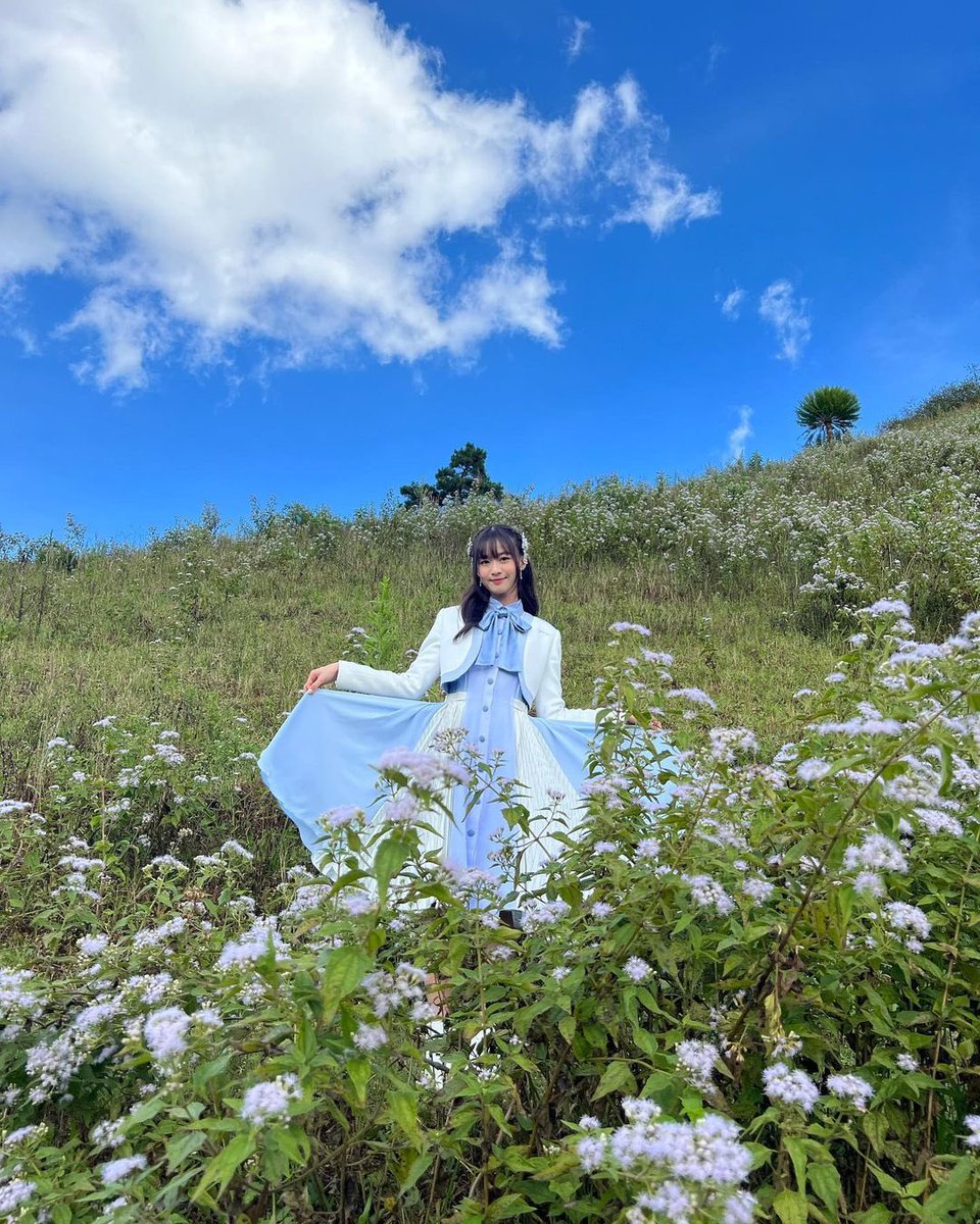 honeybee49's tweet photo. น้องมามิ้งค์ ไอดอลสายธรรมชาติ กรีนแฟลกเป็นเซ็นเตอร์เพลง 2565 ⛰️☁️✨
#MarminkMani https://t.co/foZ3LEiKW1