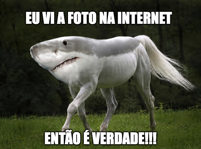 direitasiqueira's tweet photo. PAREM DE FALAR QUE A FOTO DO FLAVINHO COM O TRUMP É FALSA!!! 🤬 https://t.co/3WlOZBUs0p