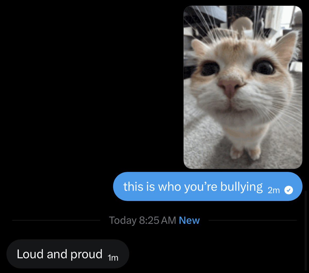 kaitlynn⁷ ᧔•᧓ sully’s #1 fan tweet media