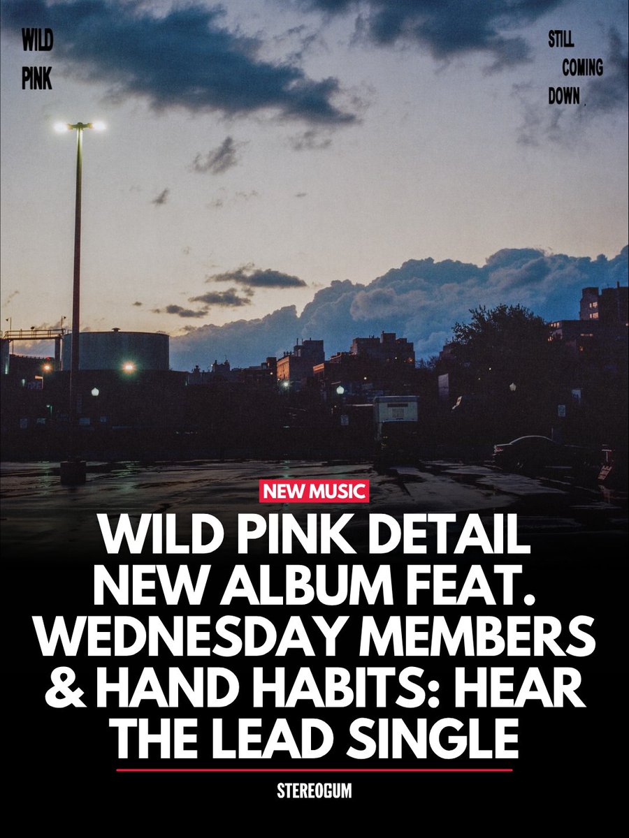 Stereogum tweet media