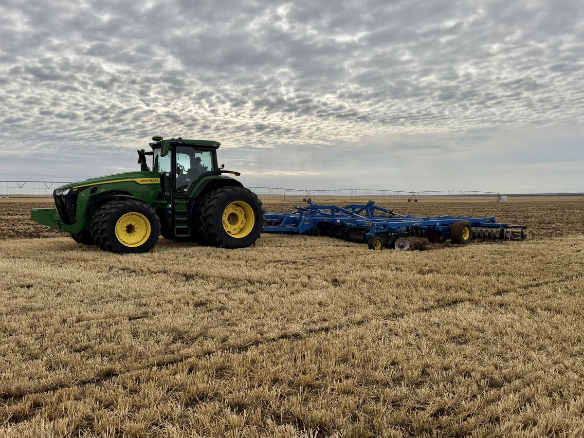 lathemfarms's tweet photo. More of Romero https://t.co/HXCJgZWpdJ
