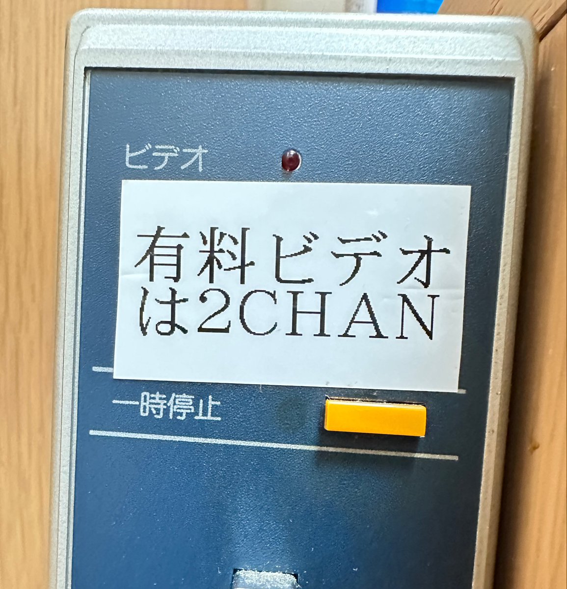 木霊 鳥子🕊️🕊️ 🕊️ 🦭 tweet media