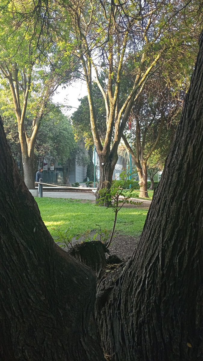 MarcoAlanCS's tweet photo. Buenos días, y que sigan comiendo riata los Pumas 💙✨ https://t.co/CqHmb4Zg5X