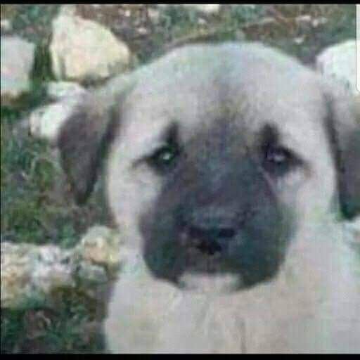 vien⁷ tweet media