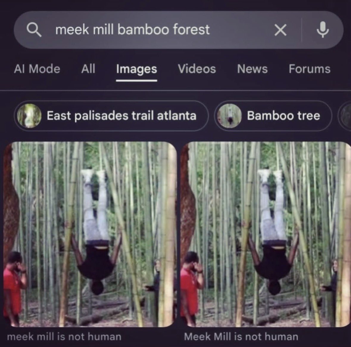 gabby tweet media