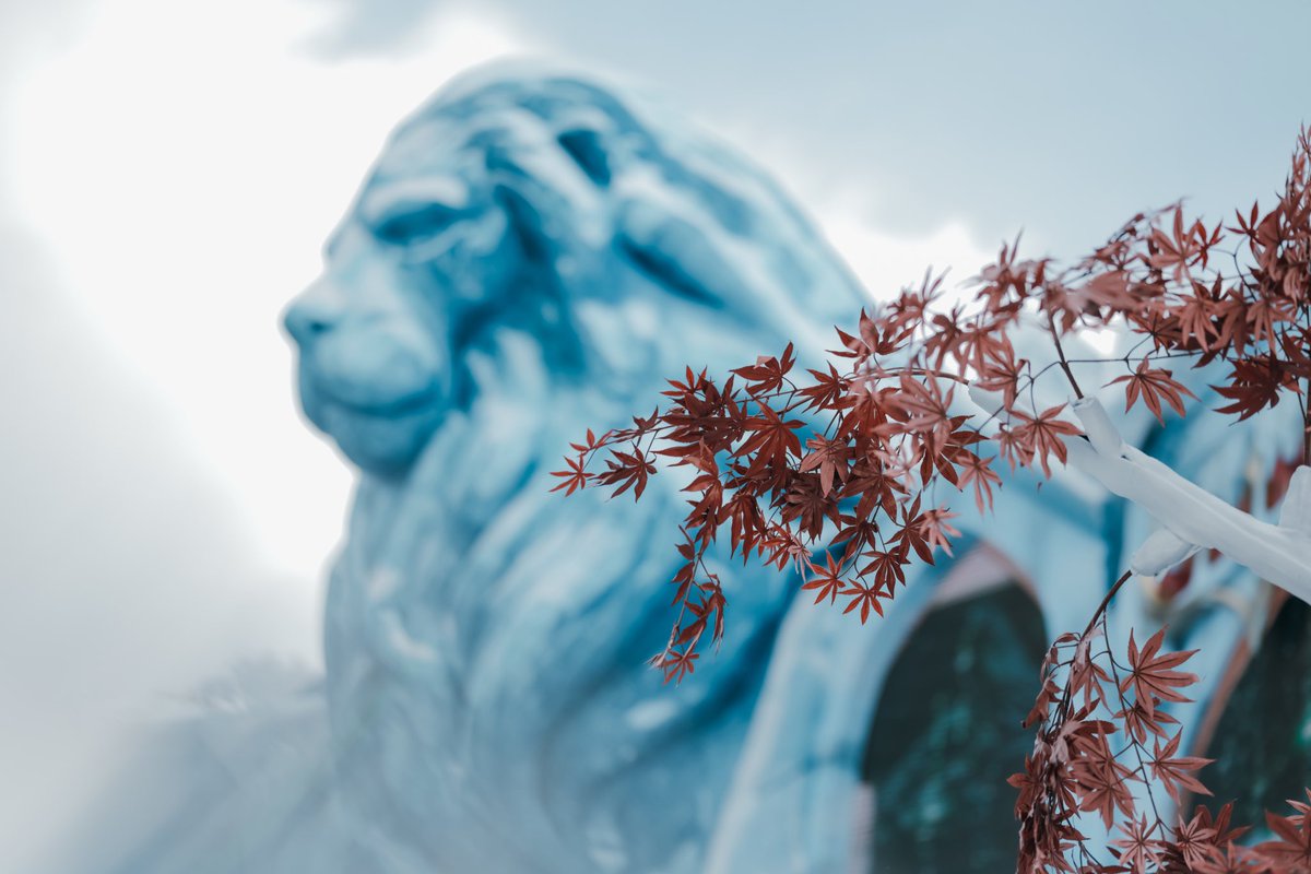 TMLwinter tweet picture