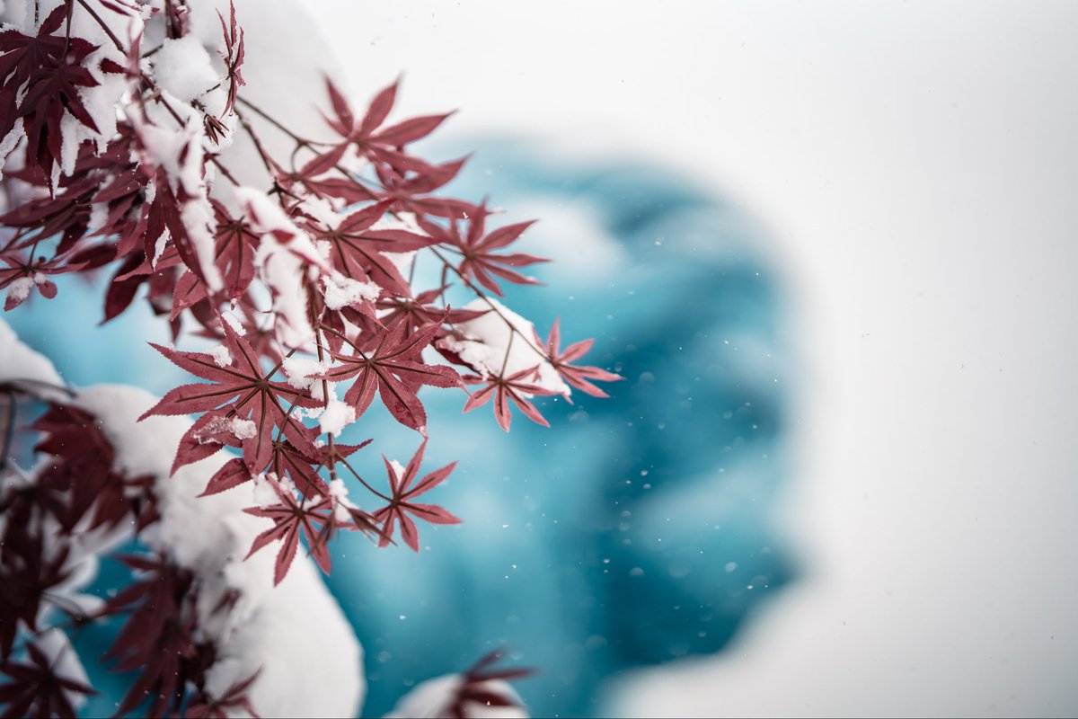 TMLwinter tweet picture