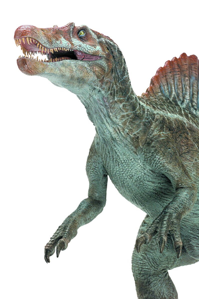 JurassicLibrary's tweet photo. These photos have NEVER been released in such high resolution nor in such high fidelity until now!

These are some truly incredible finds and we cannot wait to share more! We have so many fantastic angles for em! They are an invaluable resource for fans and modelers alike! https://t.co/r1uGNM9ZyL