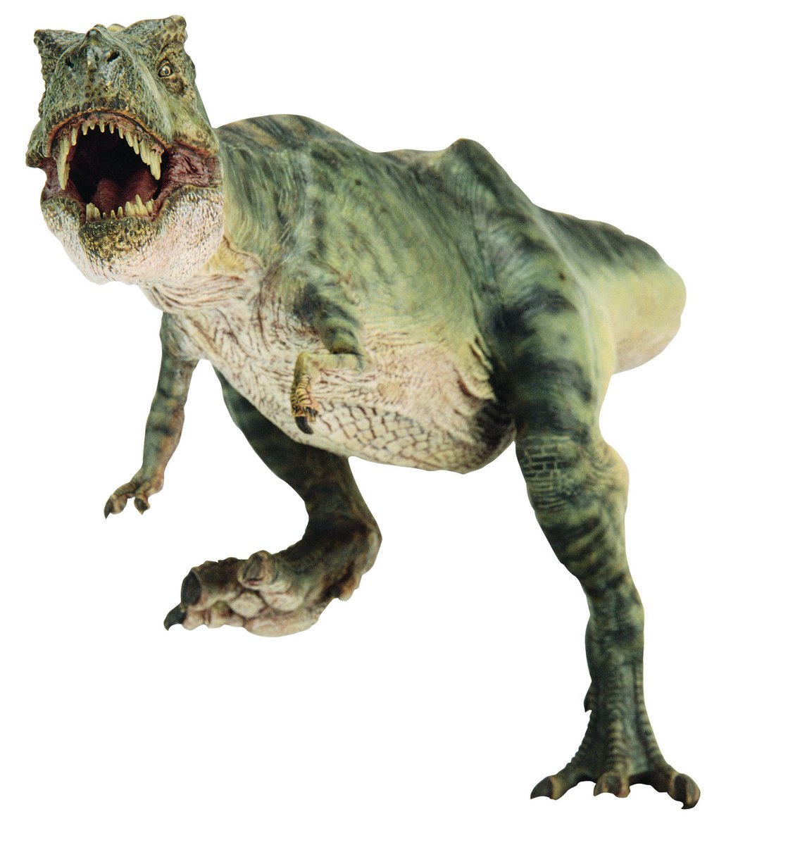 JurassicLibrary's tweet photo. These photos have NEVER been released in such high resolution nor in such high fidelity until now!

These are some truly incredible finds and we cannot wait to share more! We have so many fantastic angles for em! They are an invaluable resource for fans and modelers alike! https://t.co/r1uGNM9ZyL