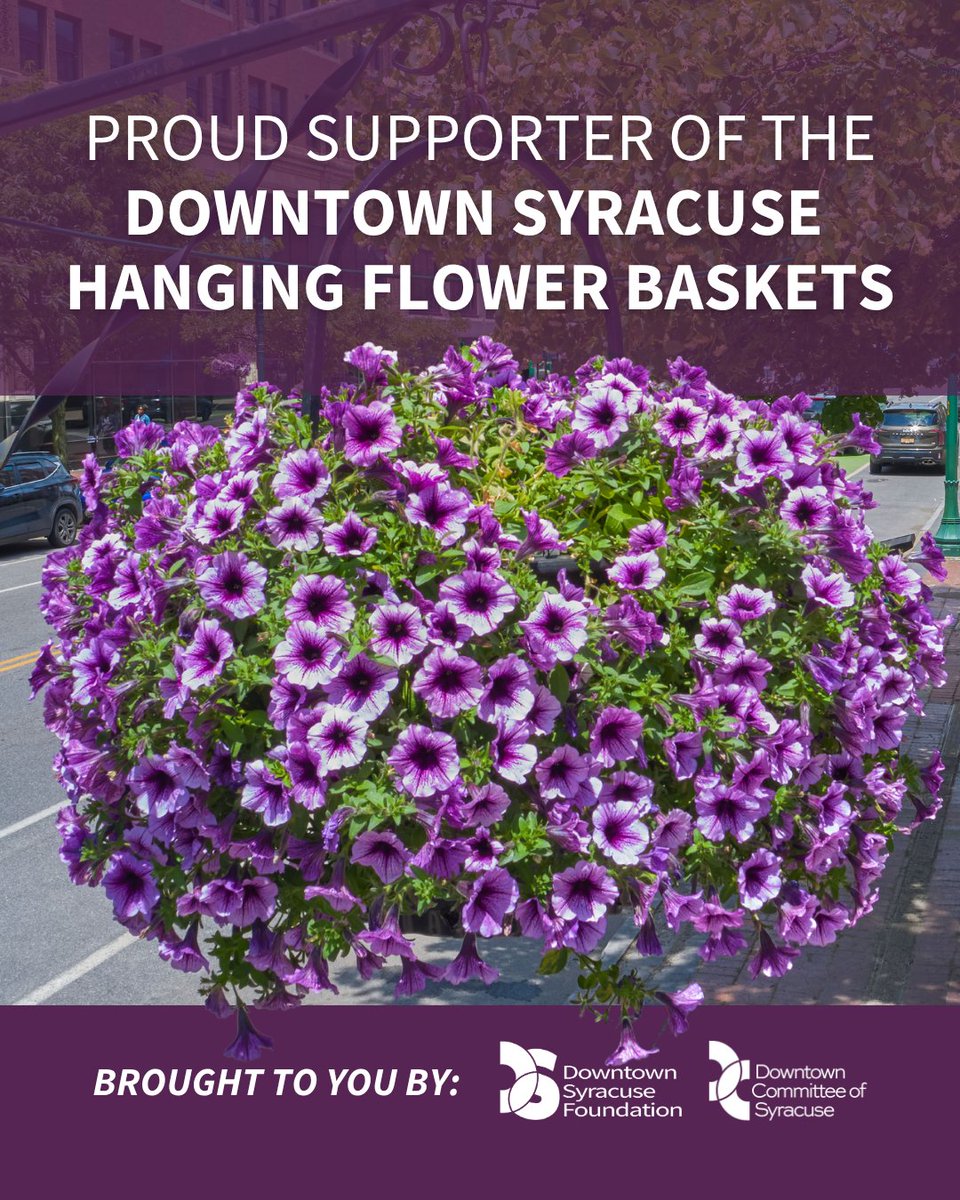 SolvayBank's tweet photo. We love investing in the communities we serve and are proud to sponsor the Hanging Flower Basket Program, an initiative by the Downtown Committee of Syracuse &amp; the Downtown Syracuse Foundation. We encourage everyone to head downtown to enjoy the blooms &amp; support local! 🪻🥀🌻 https://t.co/lIGndg52Qe