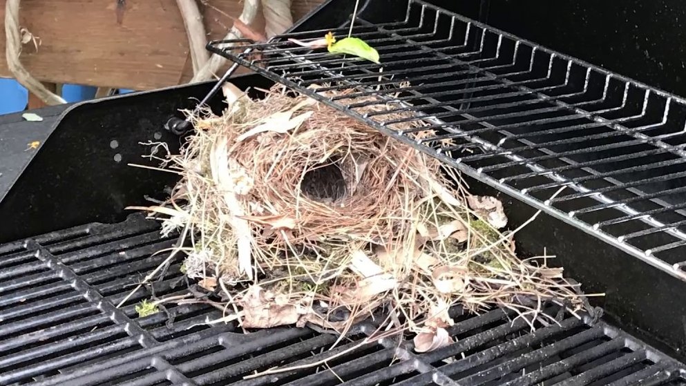 Give A Shit About Nature tweet media