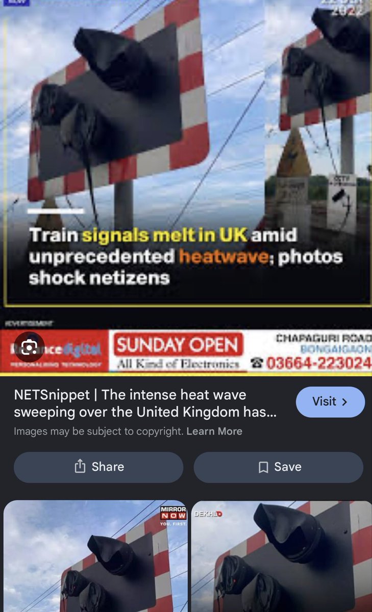 Sunny tweet media