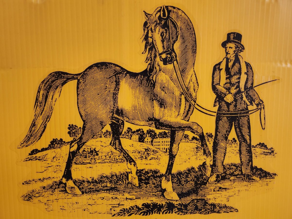 mdhorsefound's tweet photo. Learn about Maryland’s early days of racing, from the the arrival of the country’s first Thoroughbred to the pre-Civil War era.

Register now:
https://t.co/Vg09tHkyCG https://t.co/MuHZOERpMv