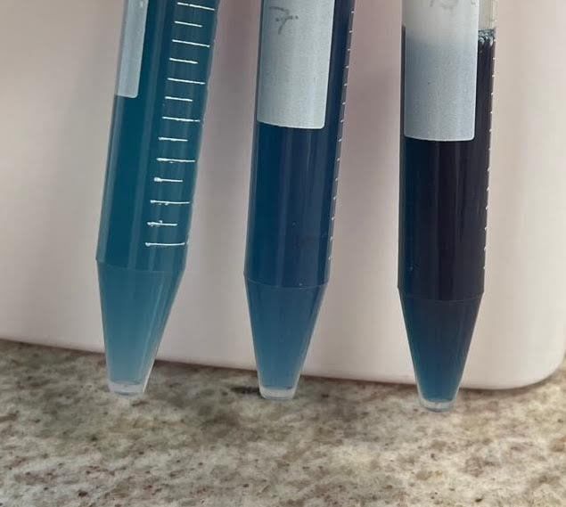 AgenciaFAPESP's tweet photo. Processo de encapsulamento aumenta a vida útil de #corante alimentar natural. Micropartículas de #quitosana melhoram a estabilidade de substância azul extraída de #algas, aumentando o potencial de aplicação industrial. https://t.co/cvVooq4U8x https://t.co/HpWCO2XpVf