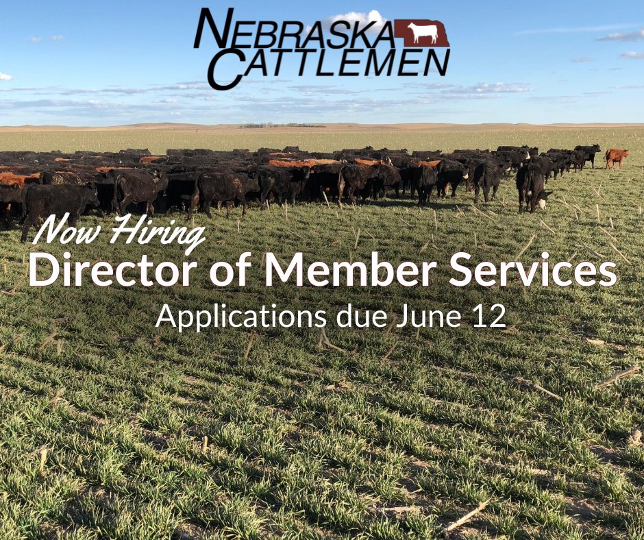 NECattlemen's tweet photo. Nebraska Cattlemen is seeking a Director of Member Services to build and strengthen relationships with cattle producers, industry partners, and stakeholders to grow and retain membership in the association. This role focuses on delivering value to members, ensuring strong engagement, and advancing the mission of the Nebraska Cattlemen to serve as the voice and resource for the cattle industry. Applications are due by June 12. 

Job description: https://t.co/potaXjFQYC