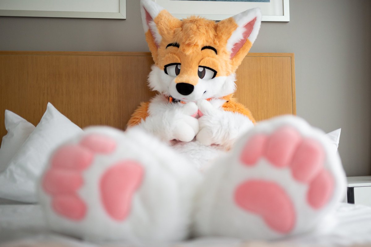 YapsFox's tweet photo. 🦊💦👉🏻👈🏻 🐾... *blush*
📸: @ShujjaWuff https://t.co/APUm8JUXol