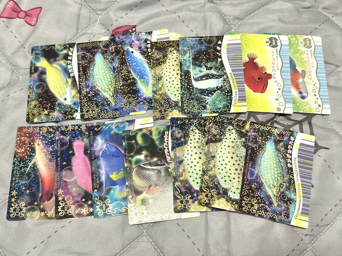 Ris♡質問あれば、気軽にどうぞ♡ ｽｯ…((꜆˙꒳˙)꜆🐟