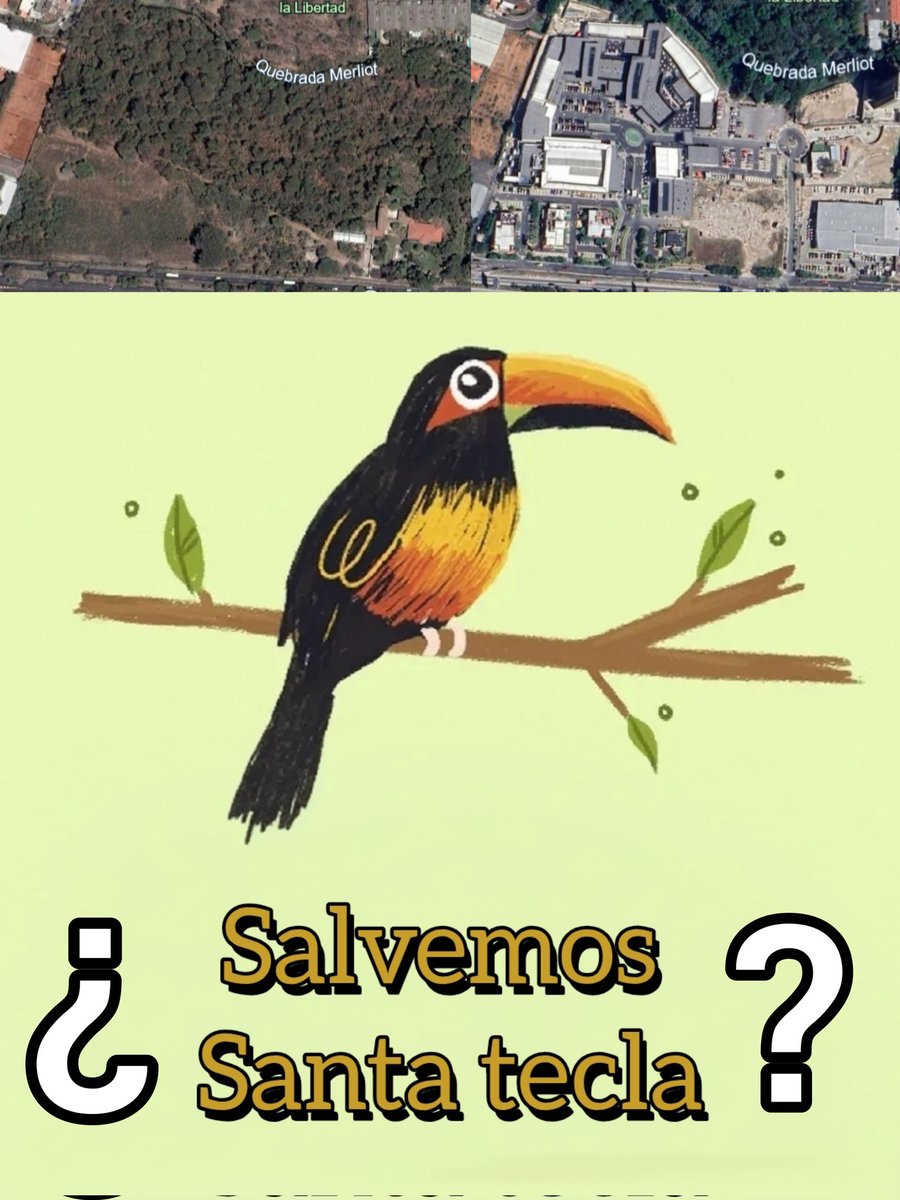 salbar1981's tweet photo. @RiclVabarianIgh Nico, acá te dejo la idea para que tú la trabajes más. No hace más de 5 años abrieron Ramblas Santa Tecla, con una extensión de 7 hectáreas (90% lo que será CIFCO)
Dónde estaban los ambientalistas de Temu?
O tal vez porque era una iniciativa privada y no del gobierno? https://t.co/FGXruMMt8V