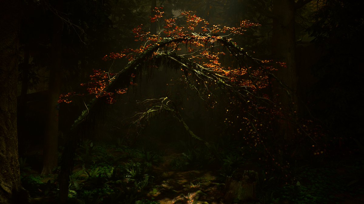 astroidis1's tweet photo. #AlanWake2 #RemedyGames #VirtualPhotography https://t.co/wSdkTfkO6r
