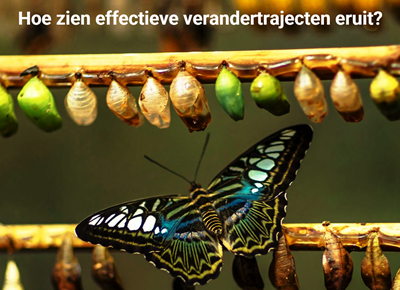 multiraedt's tweet photo. Hoe zien effectieve verandertrajecten eruit?

https://t.co/cklu3znrhA https://t.co/Qvd9FE5QvO