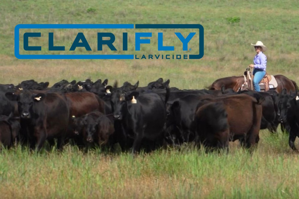 ClariFlyCentral's tweet photo. Our ClariFly® Larvicide logo has gone through a bold transition but our product hasn’t. While we continue to control flies with a new look, you can rely on our feed-through fly solution to continue to deliver proven results. Learn more about our new logo and explore our product line at https://t.co/fVrM4DLAcE