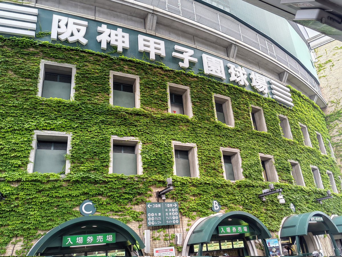 SnowBlind_'s tweet photo. 甲子園行ったらブラゼルのユニフォーム着てる人がいるし、ノイジーもいる
助っ人外国人選手を忘れないようにしないとね https://t.co/UW5F6MY1qh