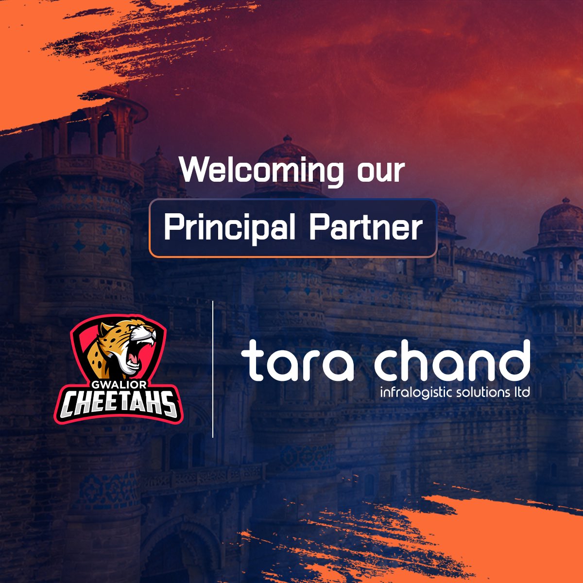 Gwalior Cheetahs tweet media