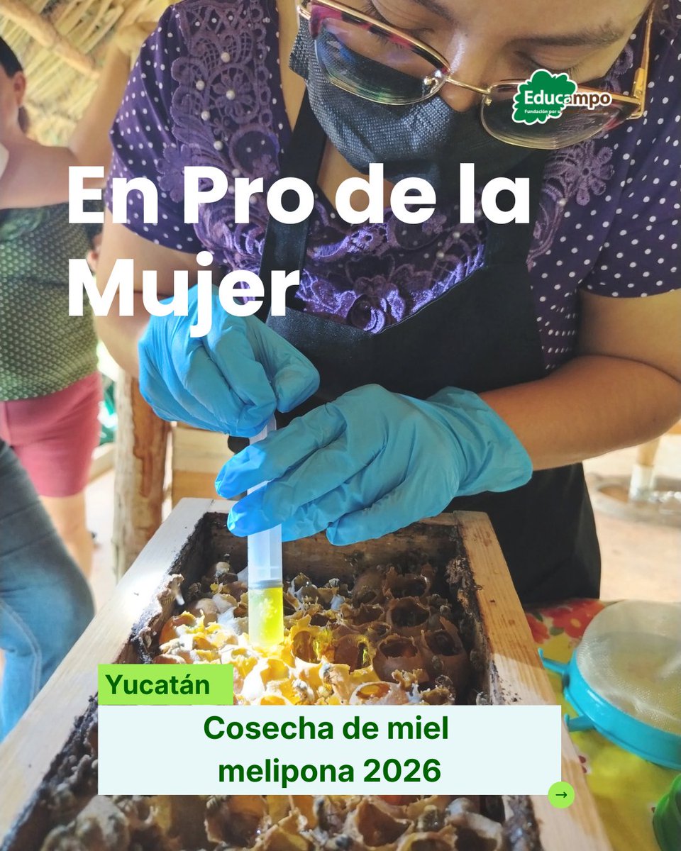 Educampo MX tweet media
