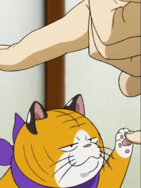 fu_chandayo22's tweet photo. こてつかわいい https://t.co/9b2exFEr55