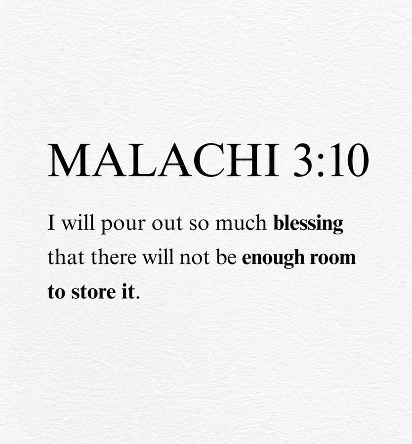 Bible 365 tweet media